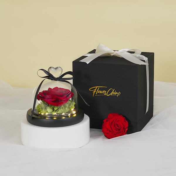 The Petal of Love
