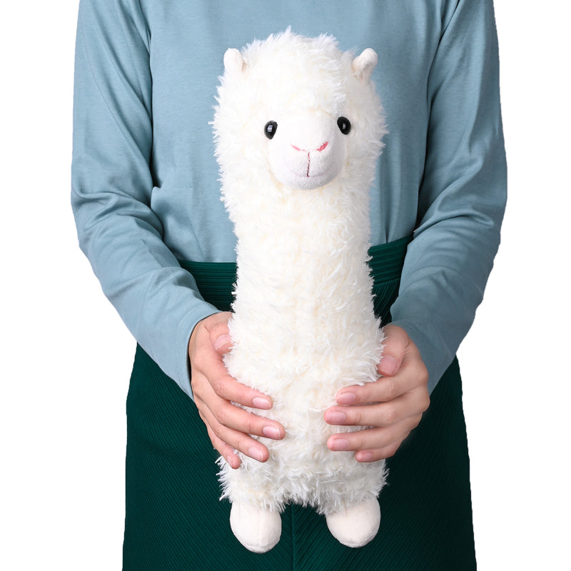 Alpaca