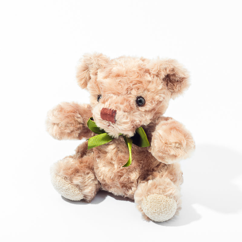 Teddy Bear (Medium)