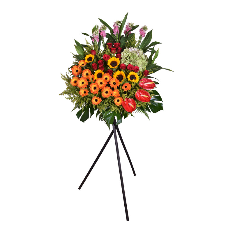 Shining Glory Opening Flower Stand